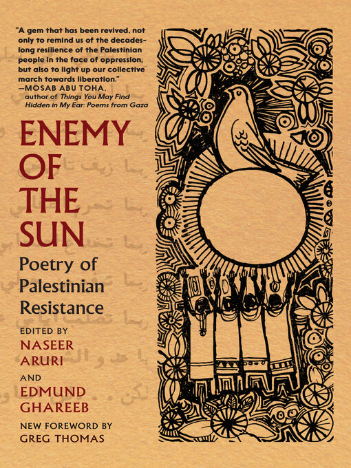 Cover image for Enemy of the Sun